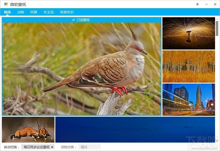 微软壁纸桌面版,微软壁纸桌面版下载,微软壁纸,微软壁纸下载